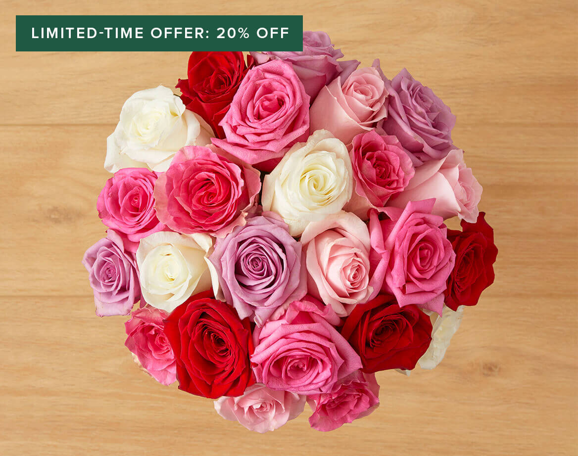 Limited Time Offer: 20% Off Valentines Roses
