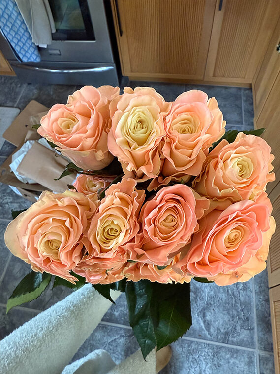 glow in the dark roses 1