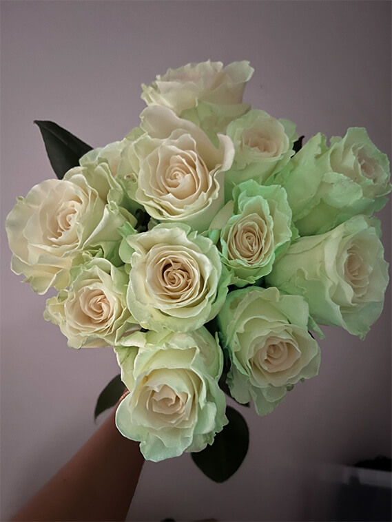 glow in the dark roses 1