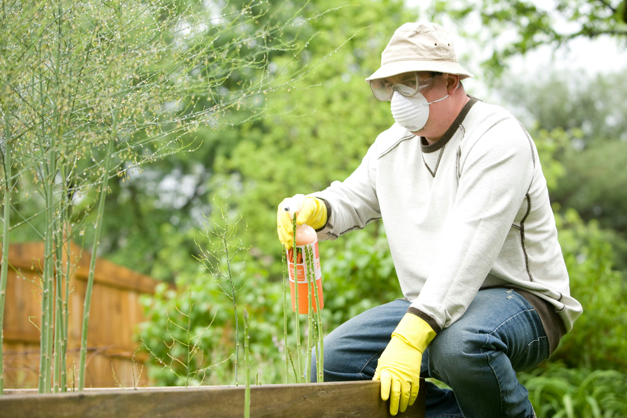 fertilizer application