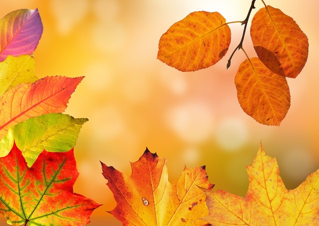automne