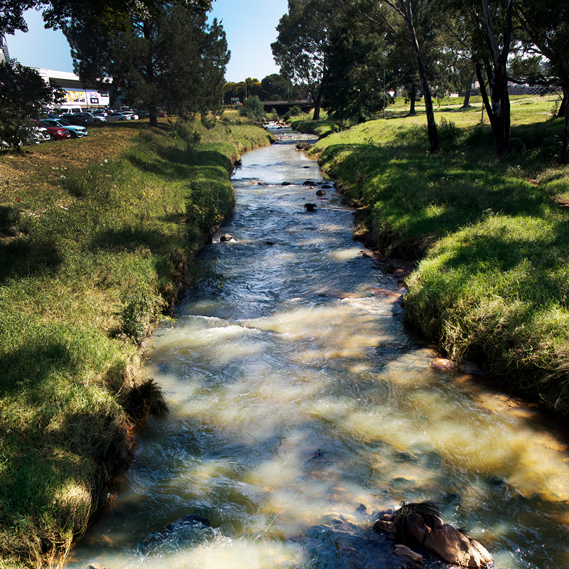 A River in the Center of Town