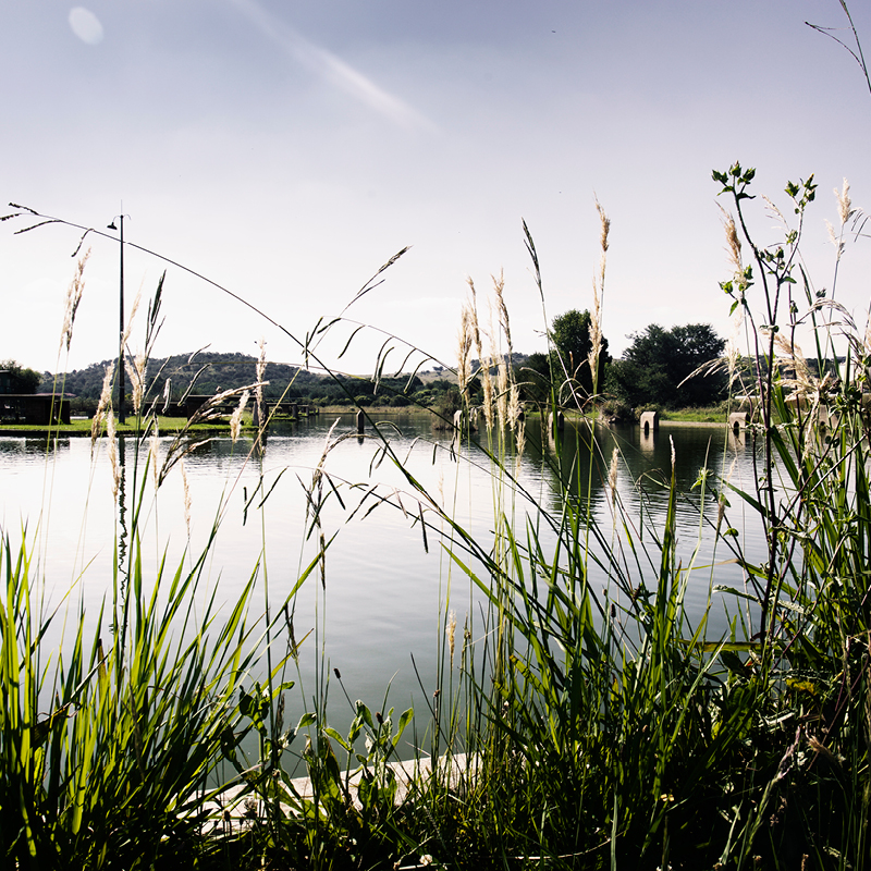 The Fishing Dam