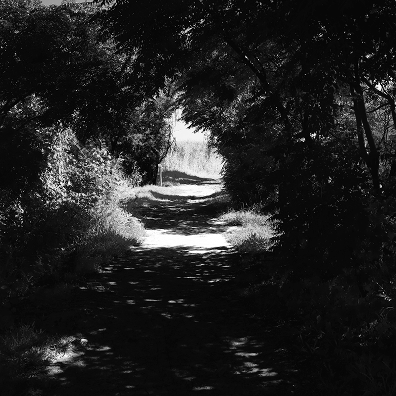 A Running Path