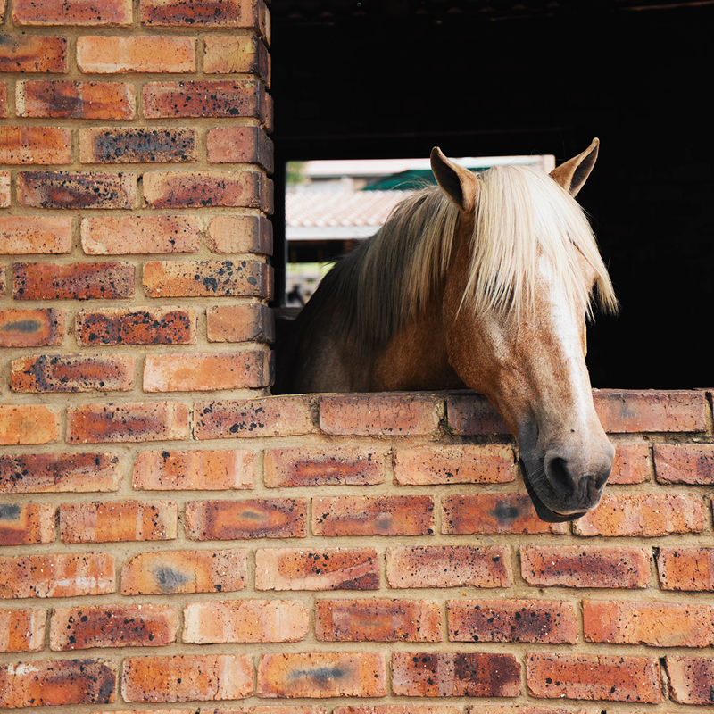 Meyer Stables