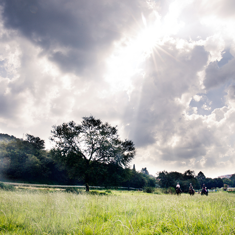 Walking in the Field