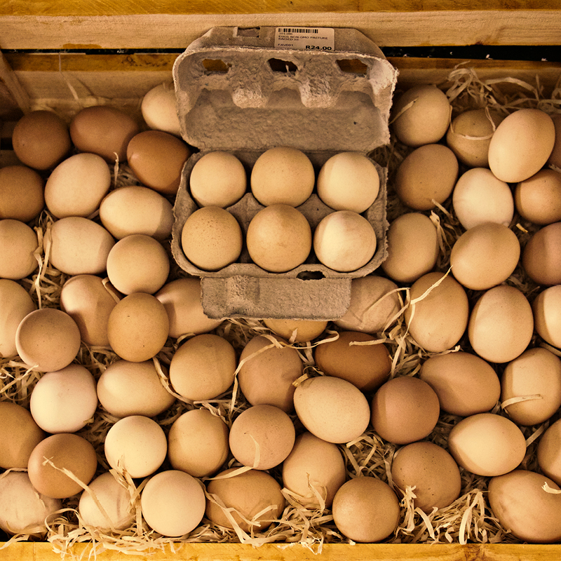 Organic Eggs