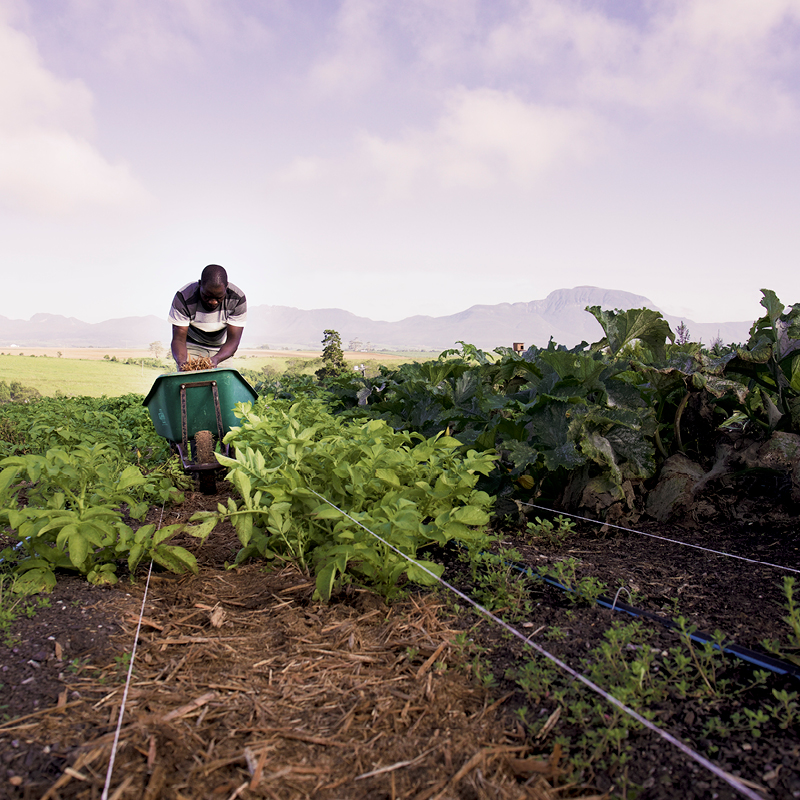 Farming in the Mountains