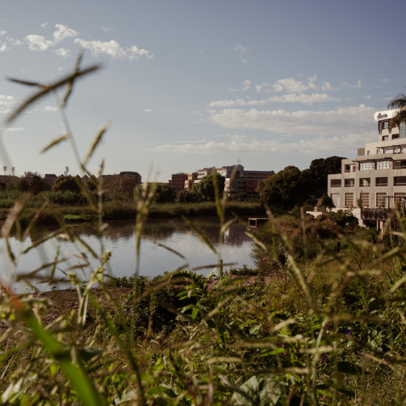 Centurion Mall Dam