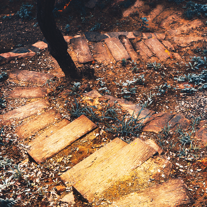 Pathway