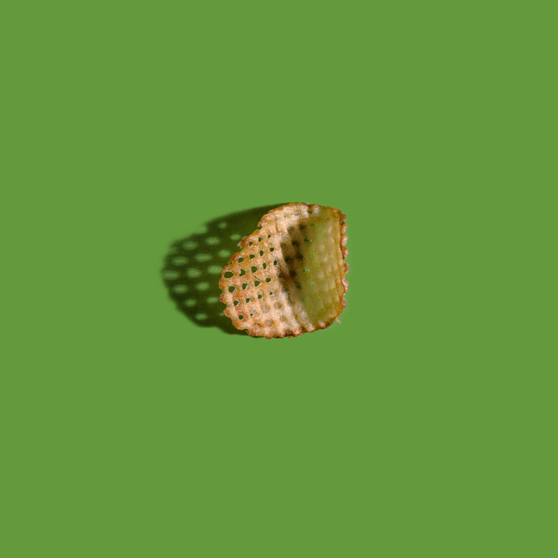 Potato Chips