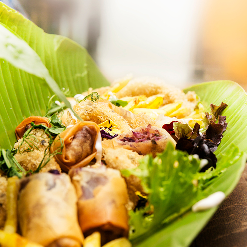 Springroll and Calamari Combo