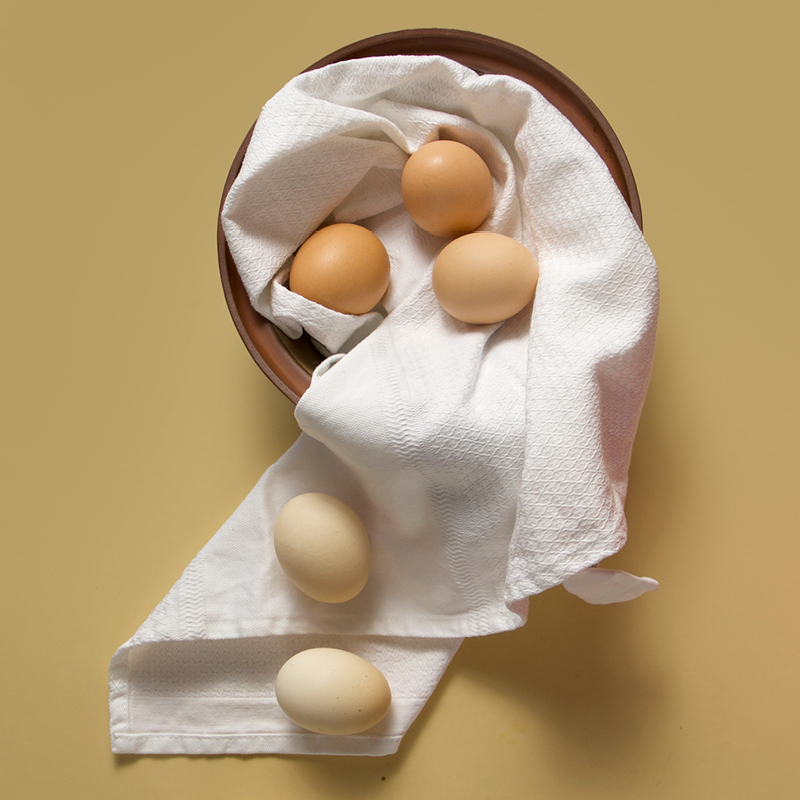 Organic Eggs