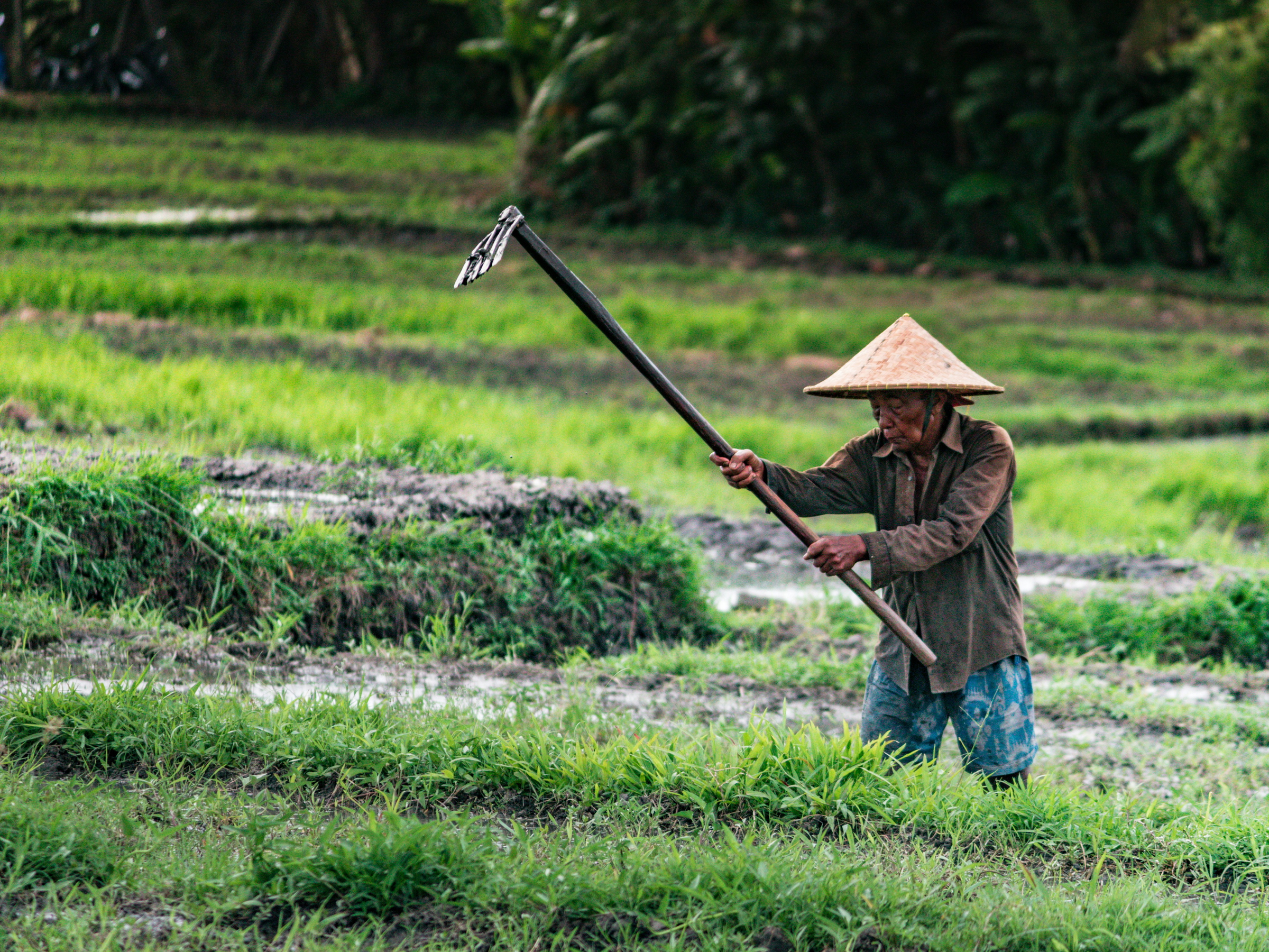 Scène rurale du Vietnam, exemple d’expérience locale authentique proposée par VietNomads travel planners