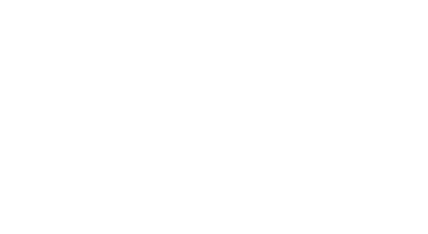 Logo blanc de VietNomads | Coach voyage & travel planner au Vietnam