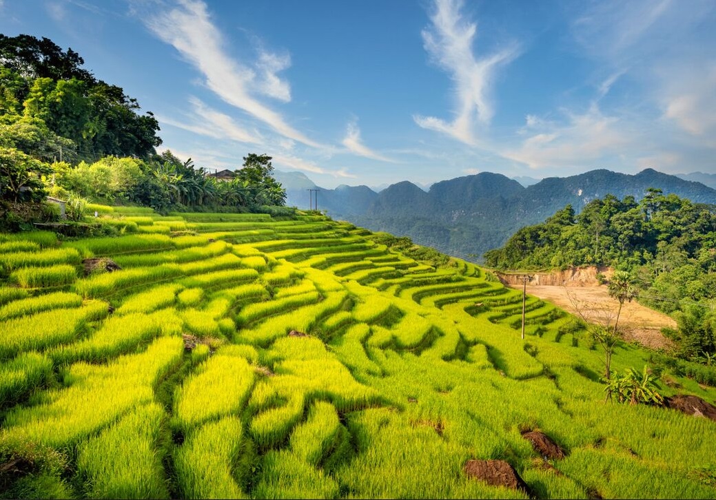 Rizières et montagnes de Pu Luong, immersion nature dans le Nord Vietnam avec VietNomads