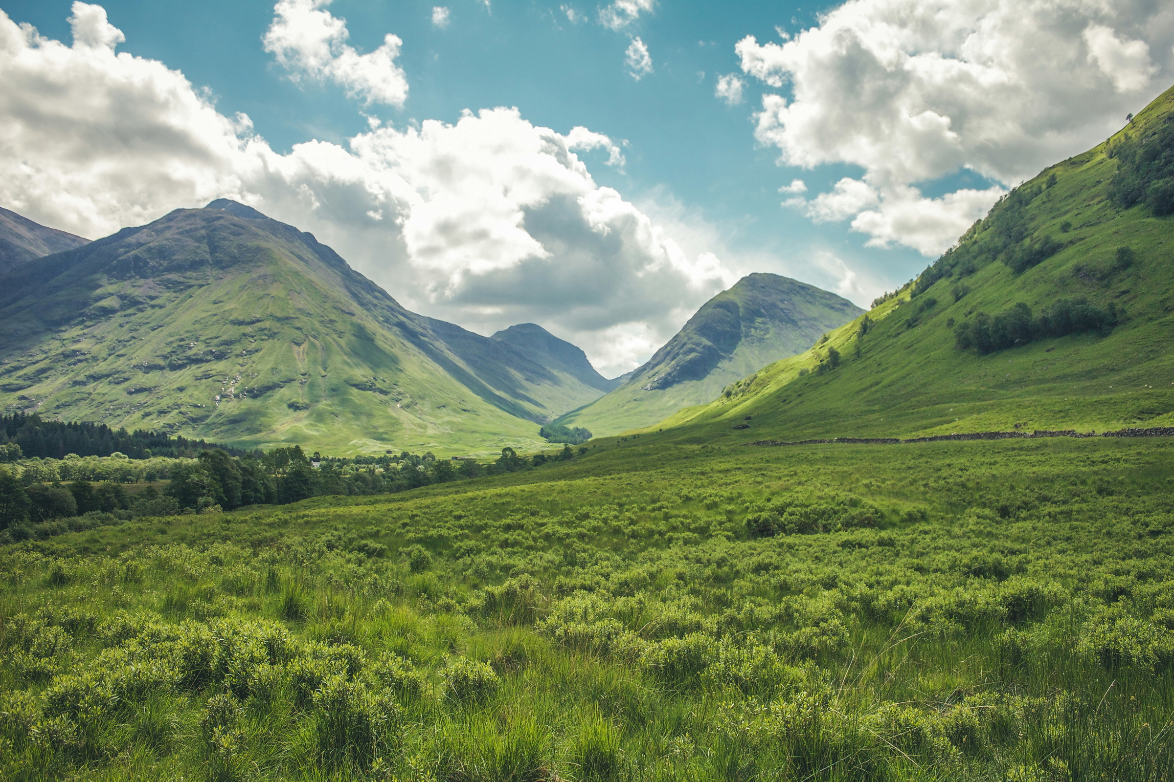 green landscape