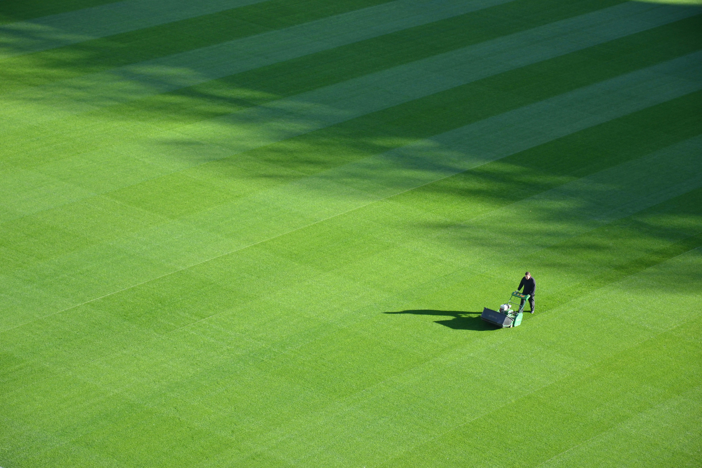 lawn expertise