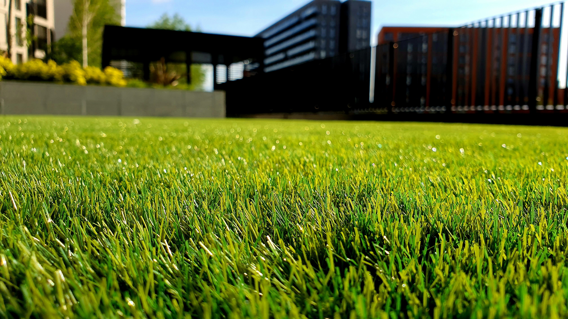 lawn care