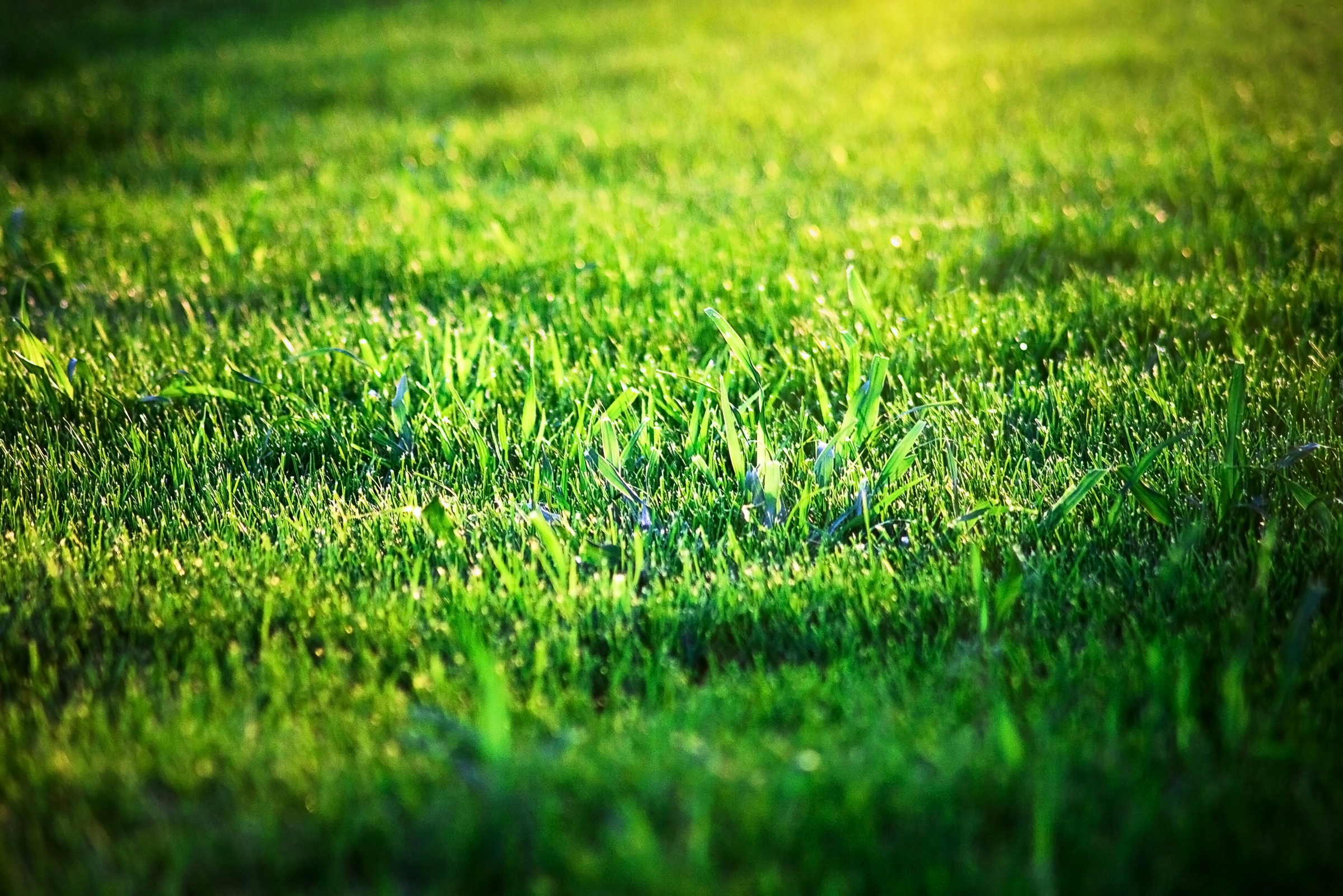 Image with LightBox
