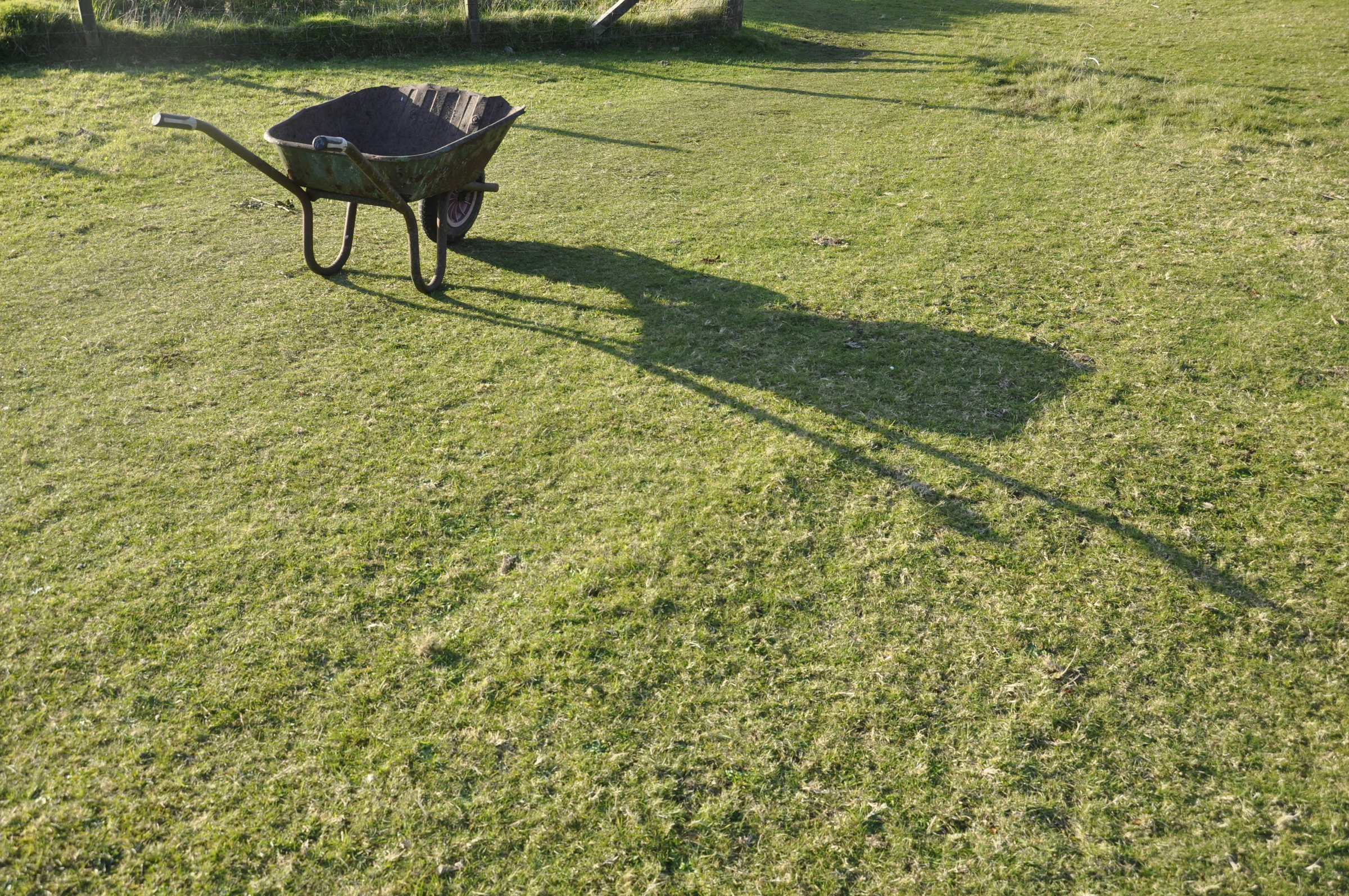 lawn maintenance