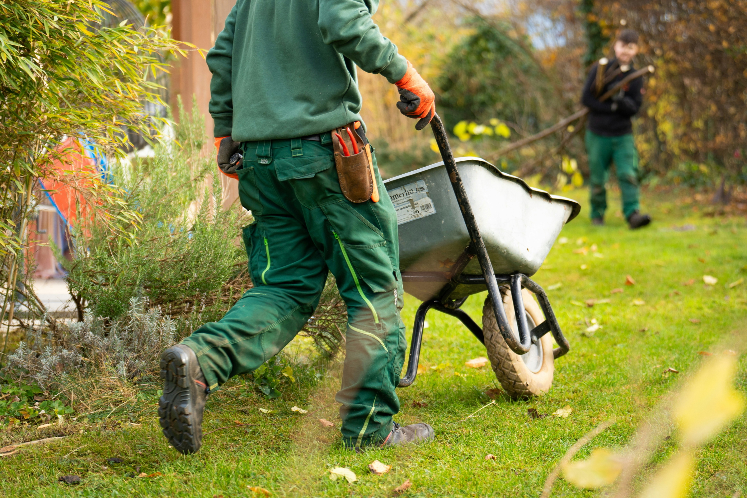 manicured lawn