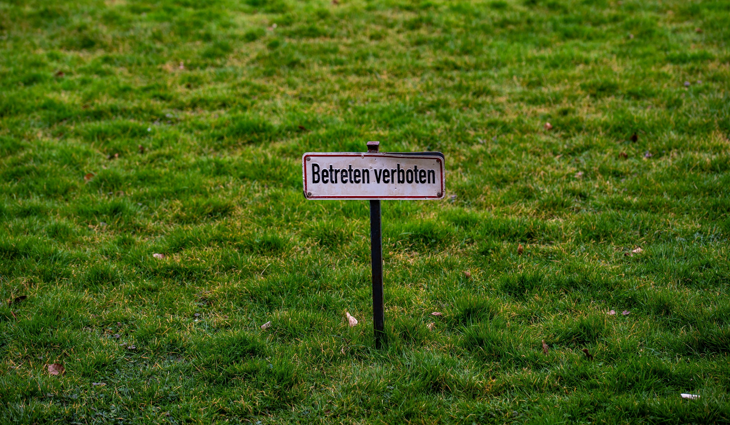 lawn services