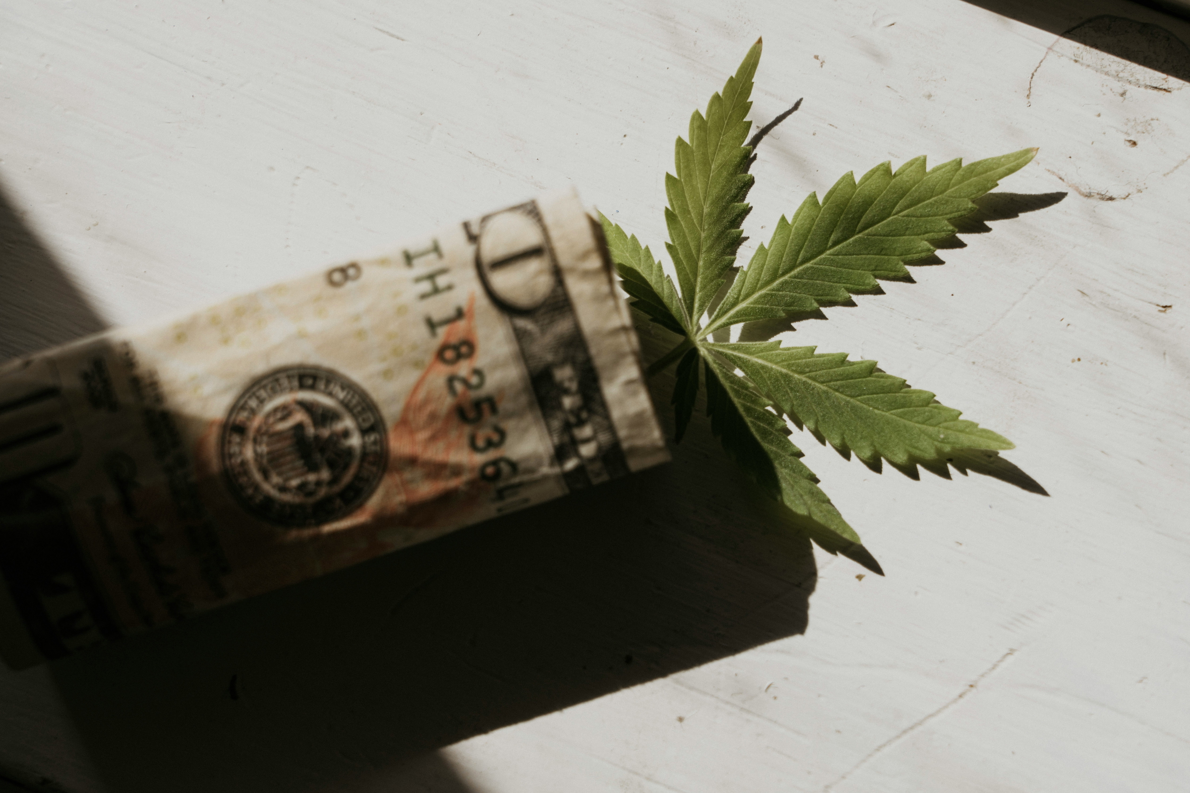 cannabis business