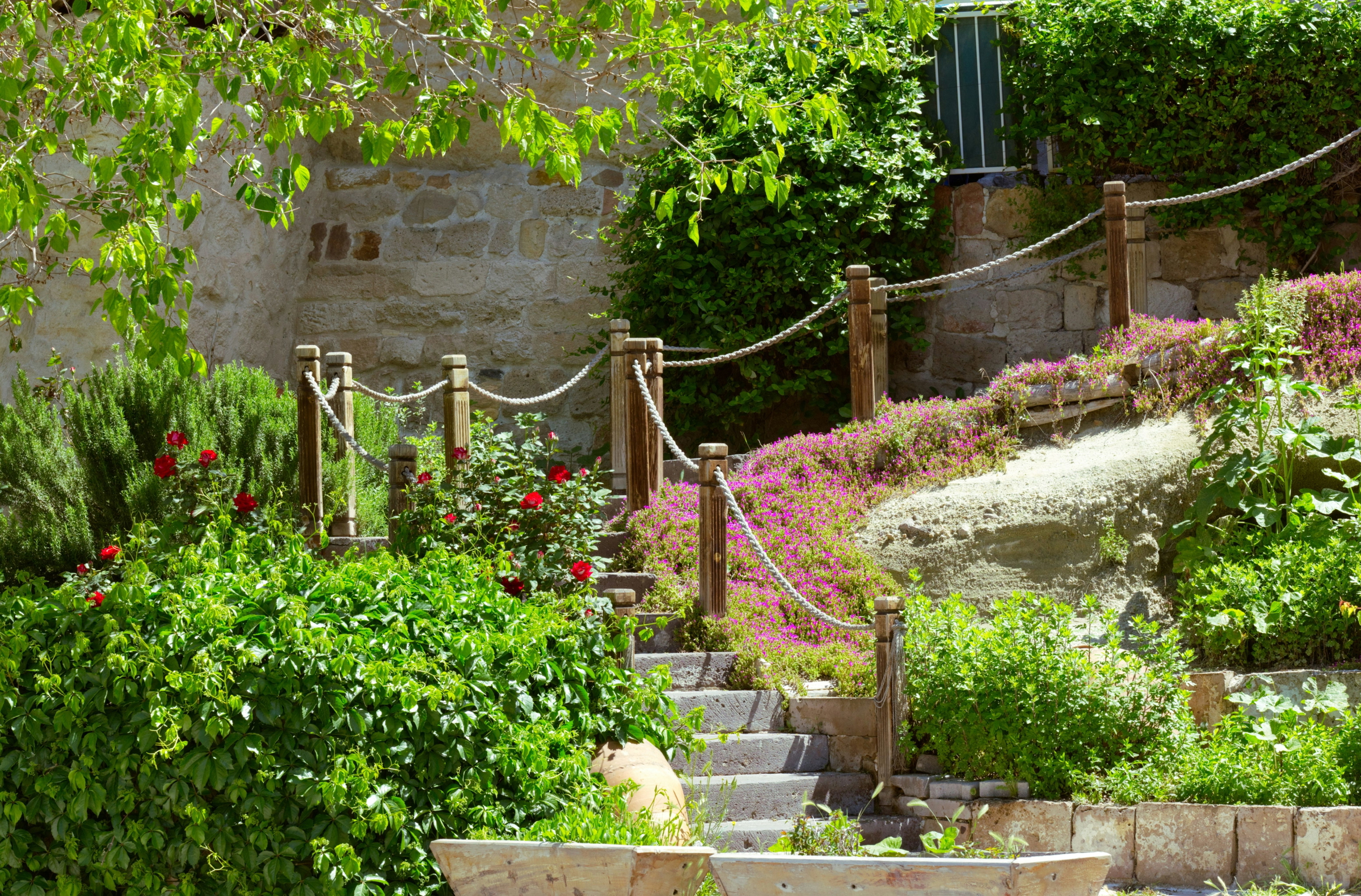 garden design