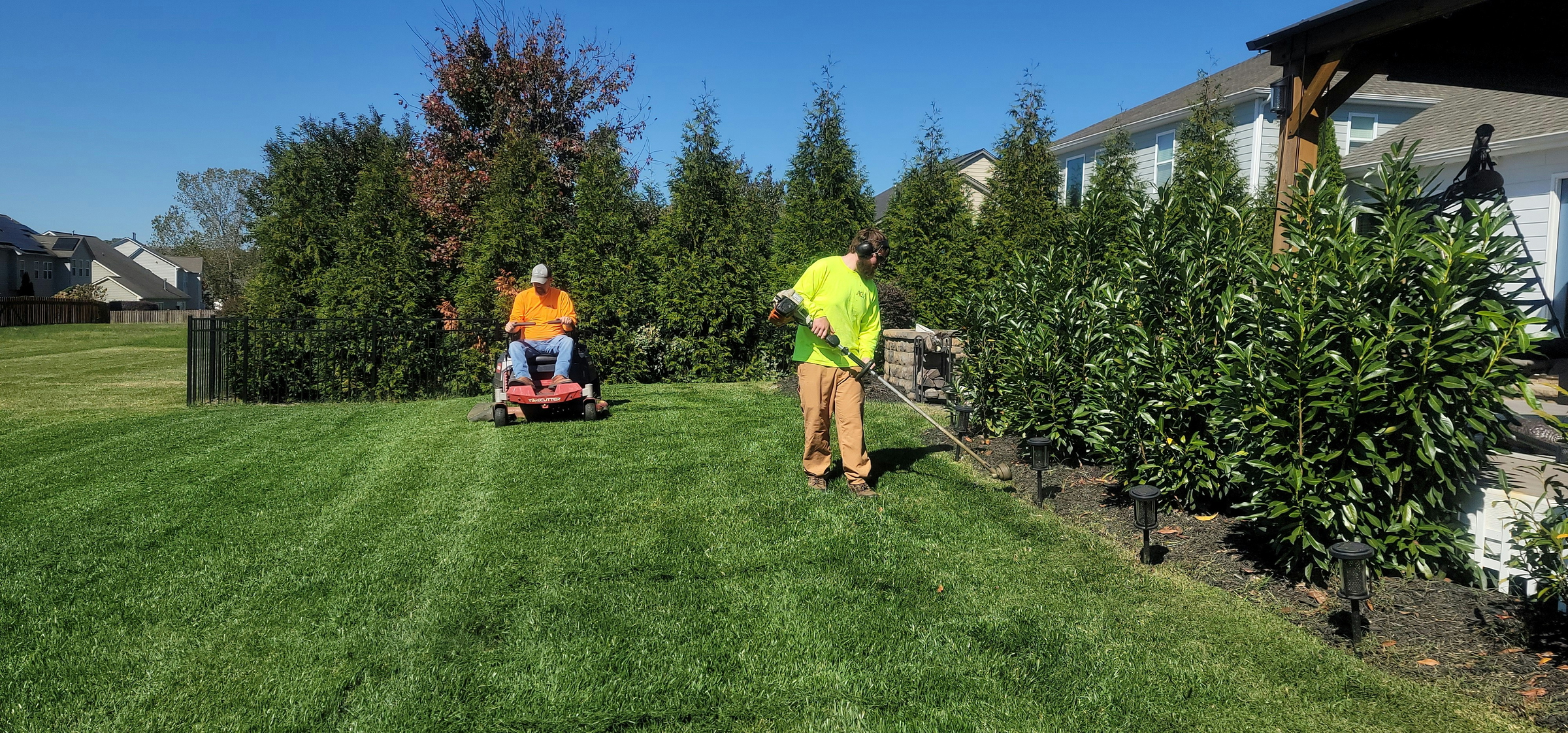 lawn maintenance