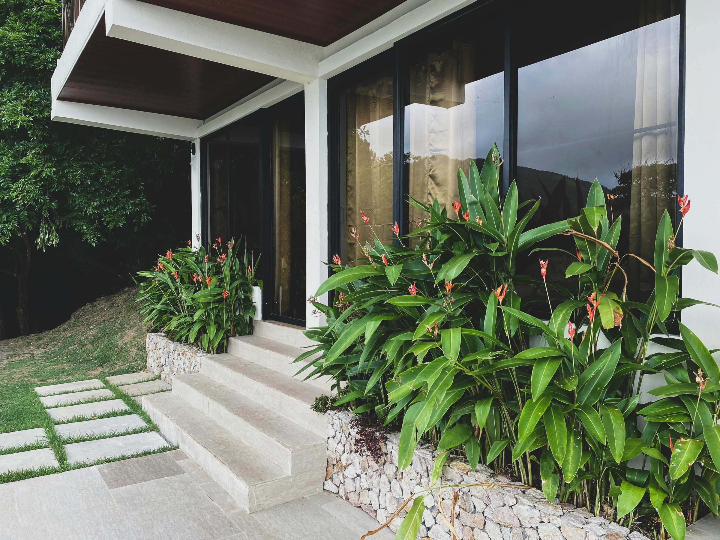 garden transformation
