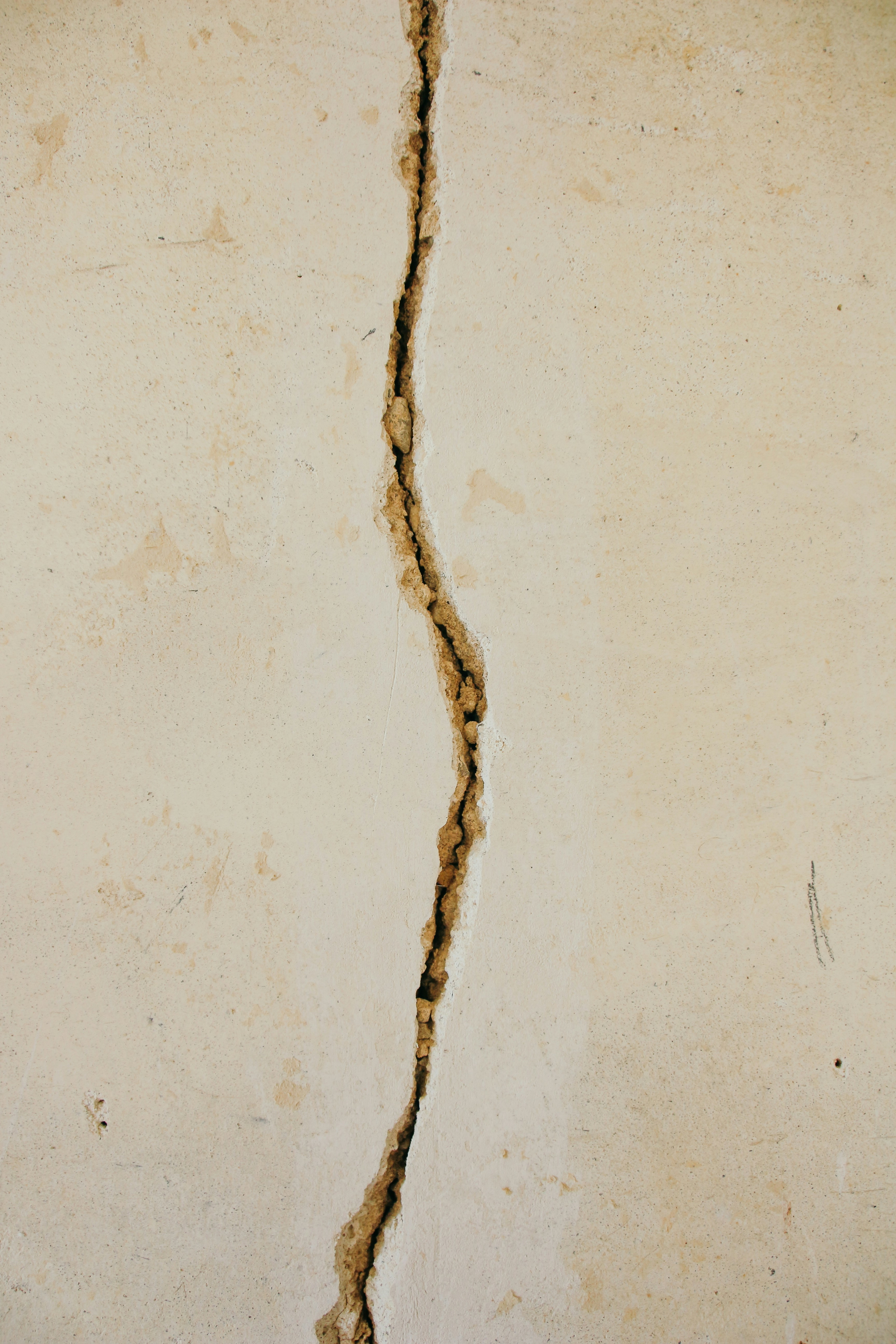 termite treatment