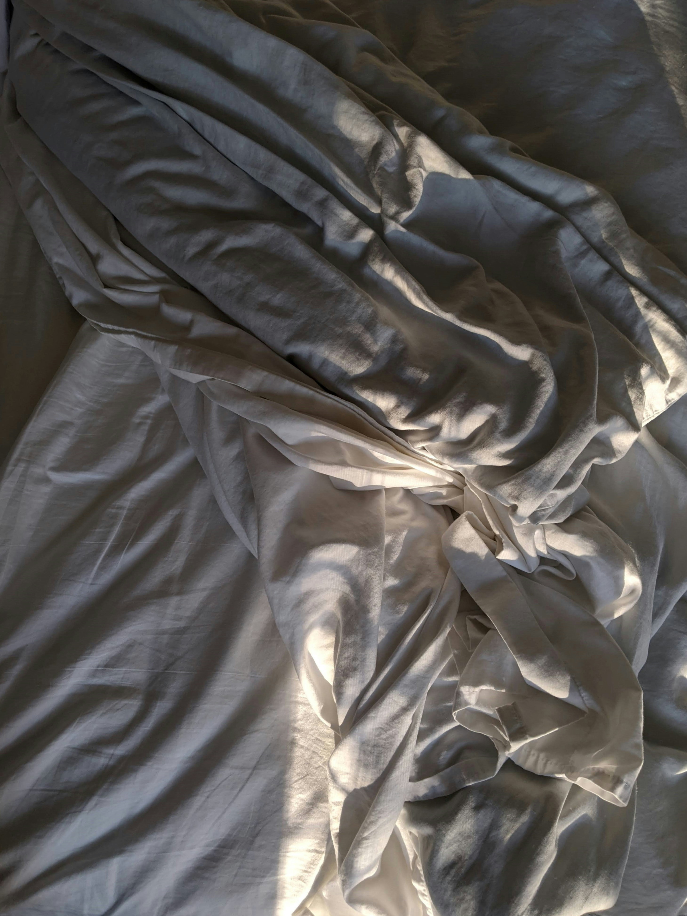 bed bug removal