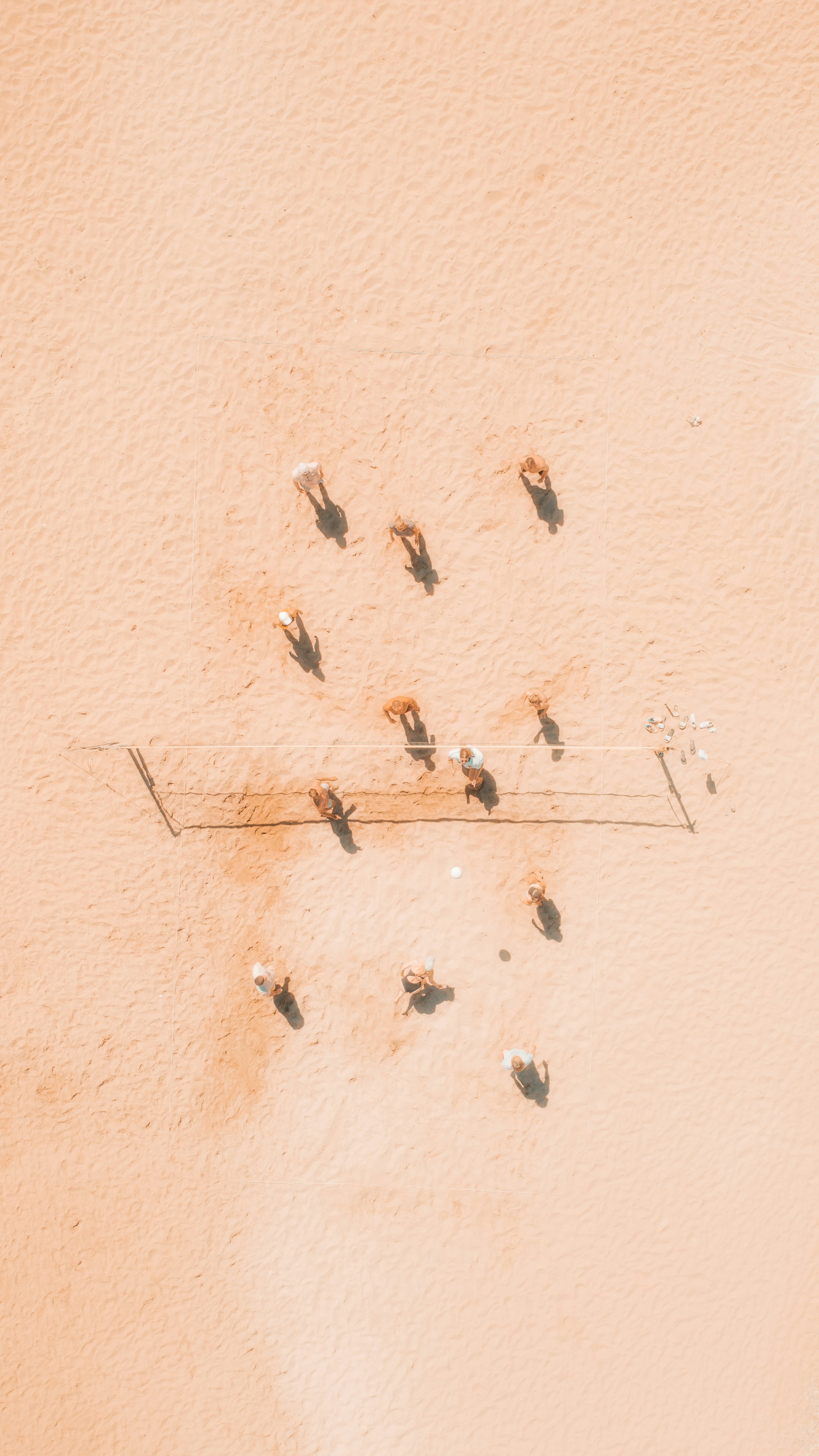 ant elimination