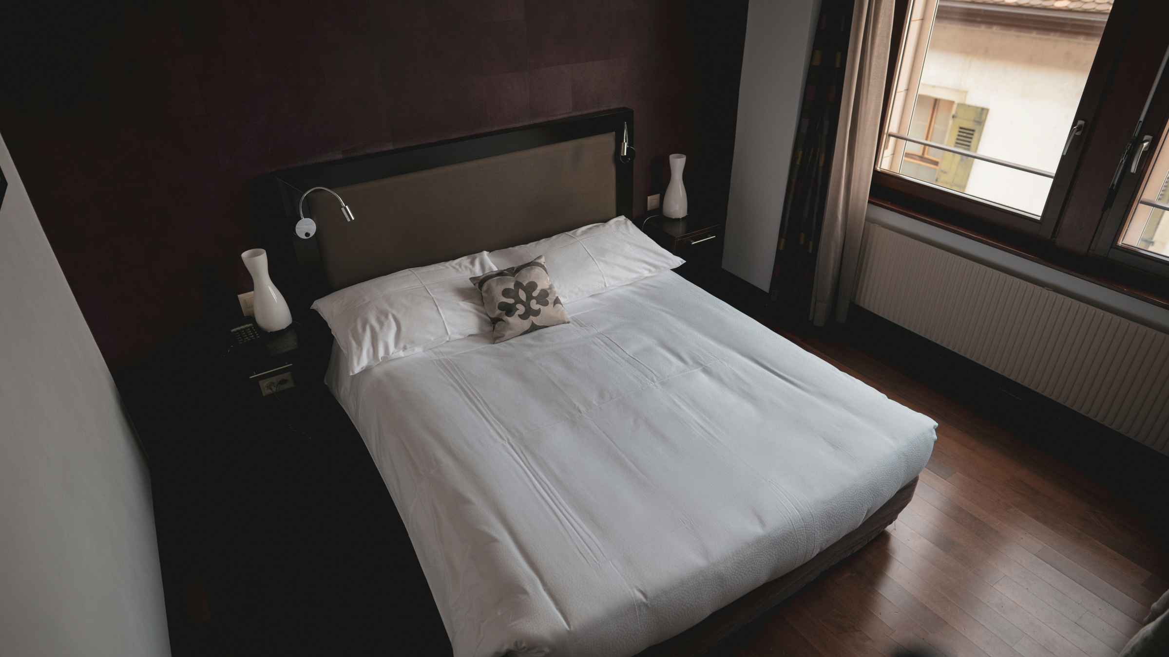 bed bug removal