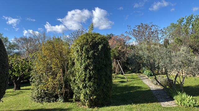 Jardin paysager luxueux villa Les Chênes Blancs Gordes Provence