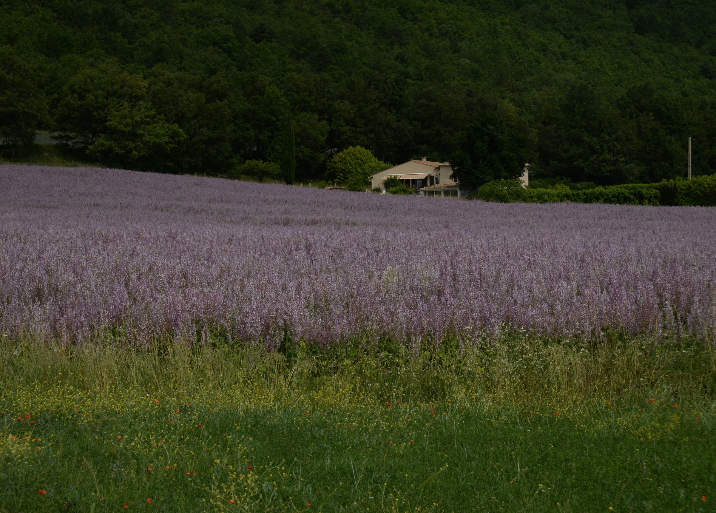provence comfort