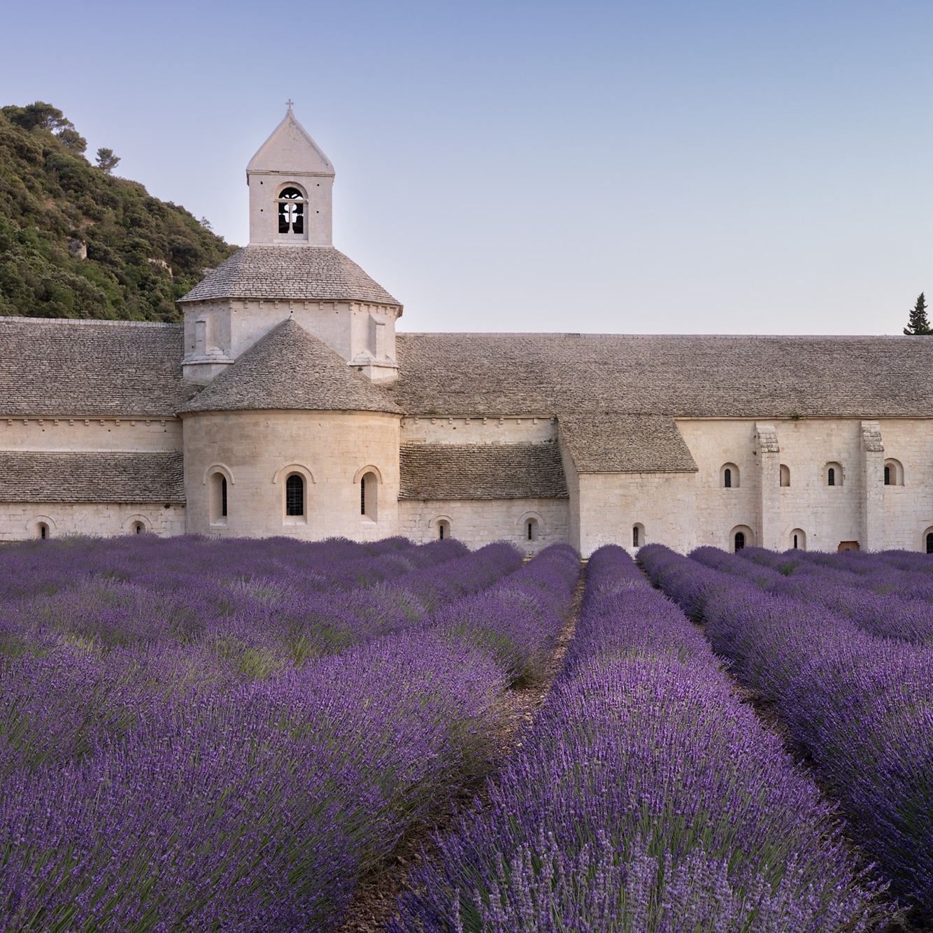 Abbaye de Sénanque