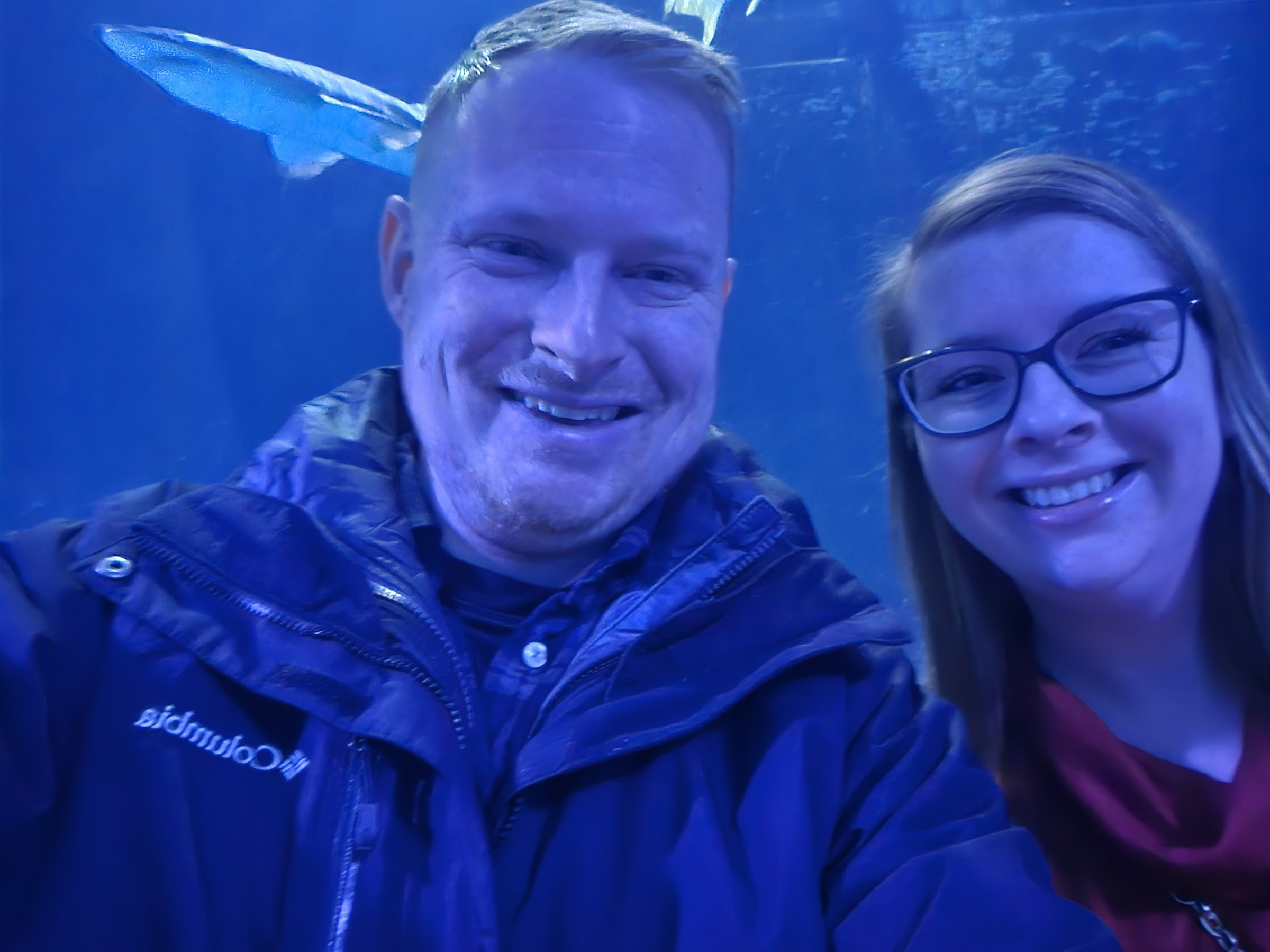 aquarium at Mall of America