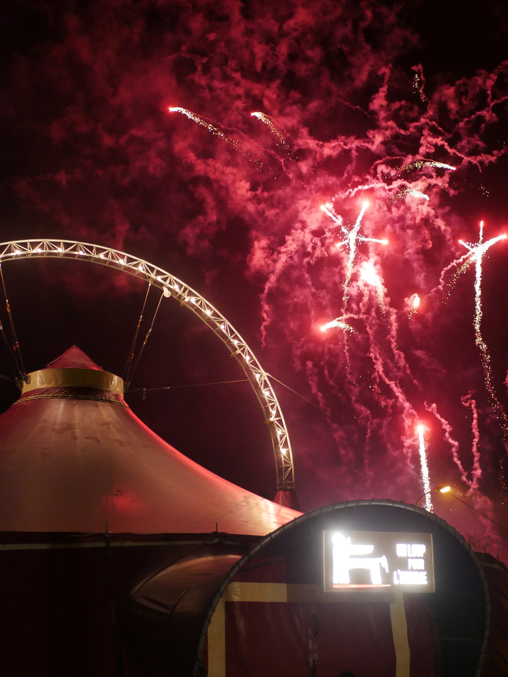 Un Loup pour l'Homme