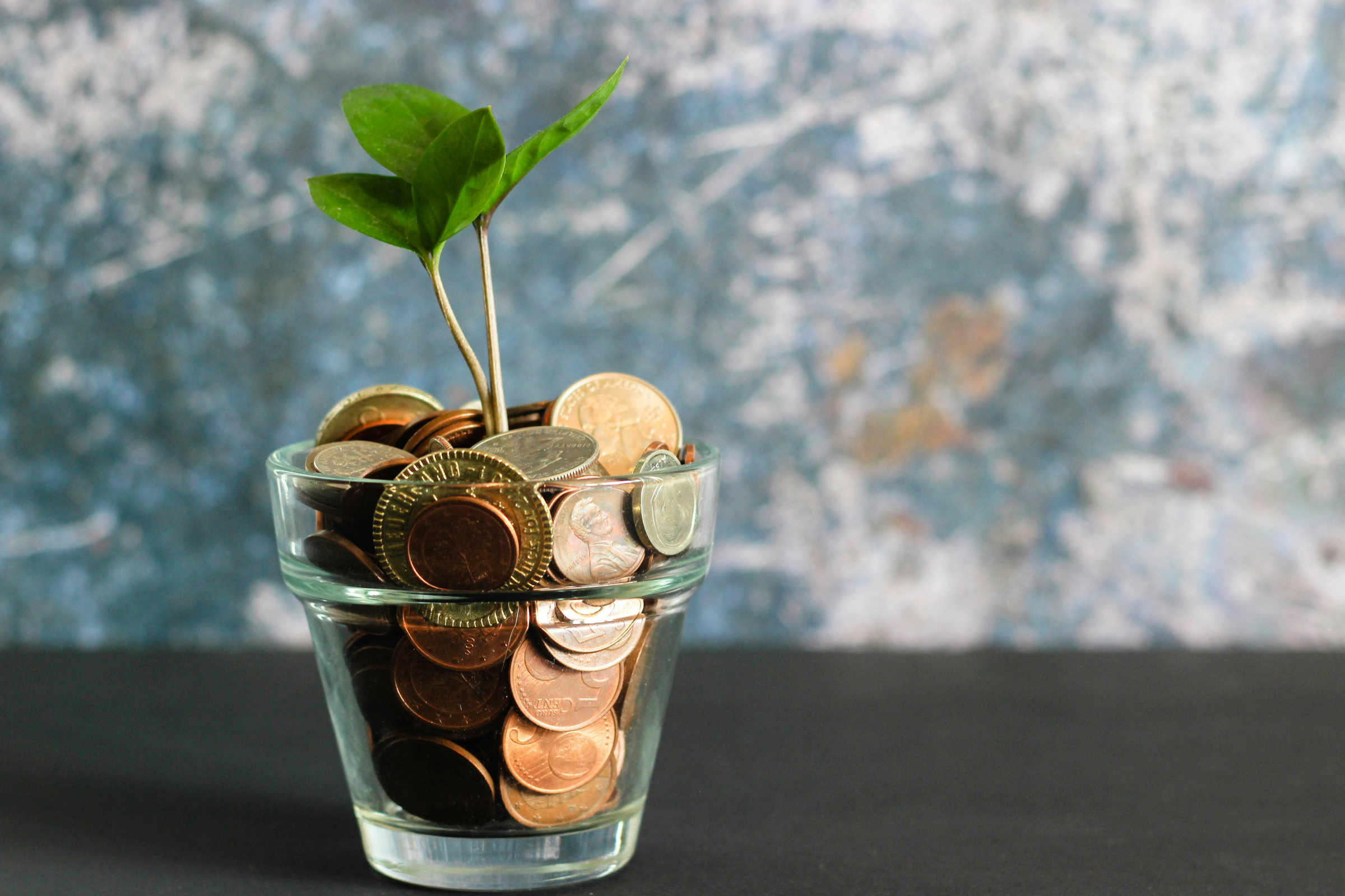 financial growth