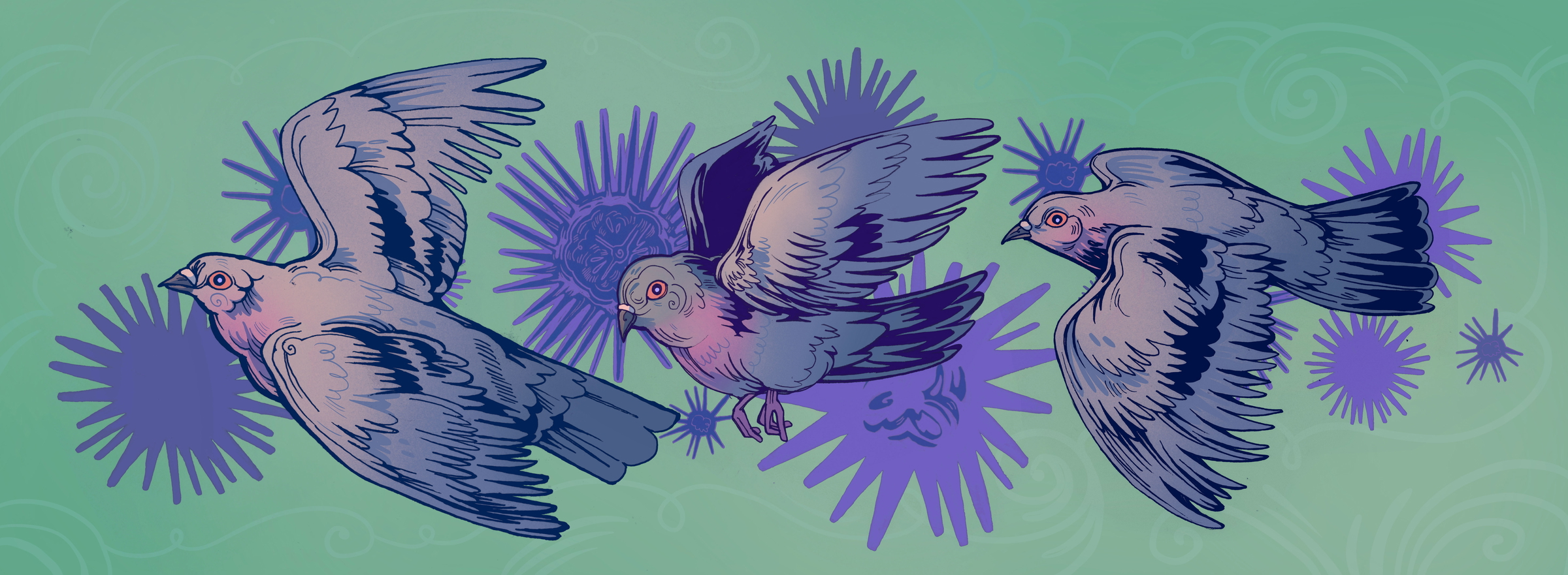 pigeons + urchins