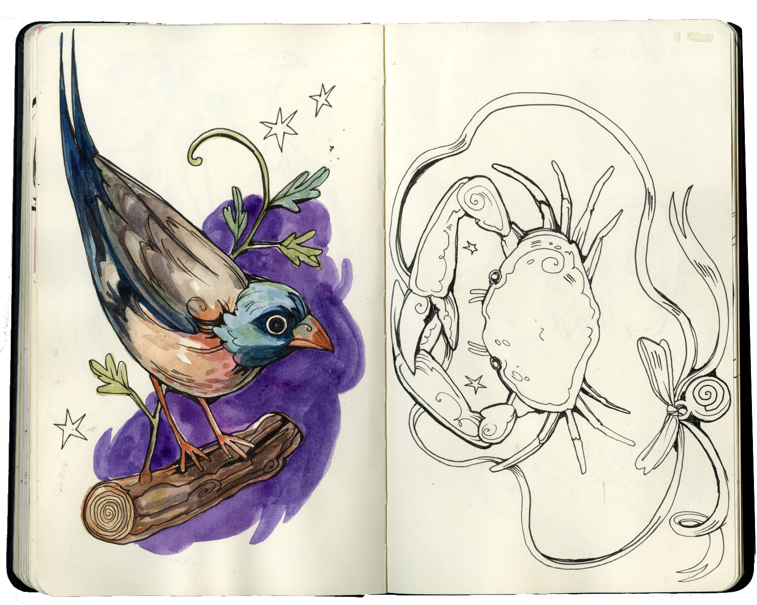 summer - fall 2023 spread #3