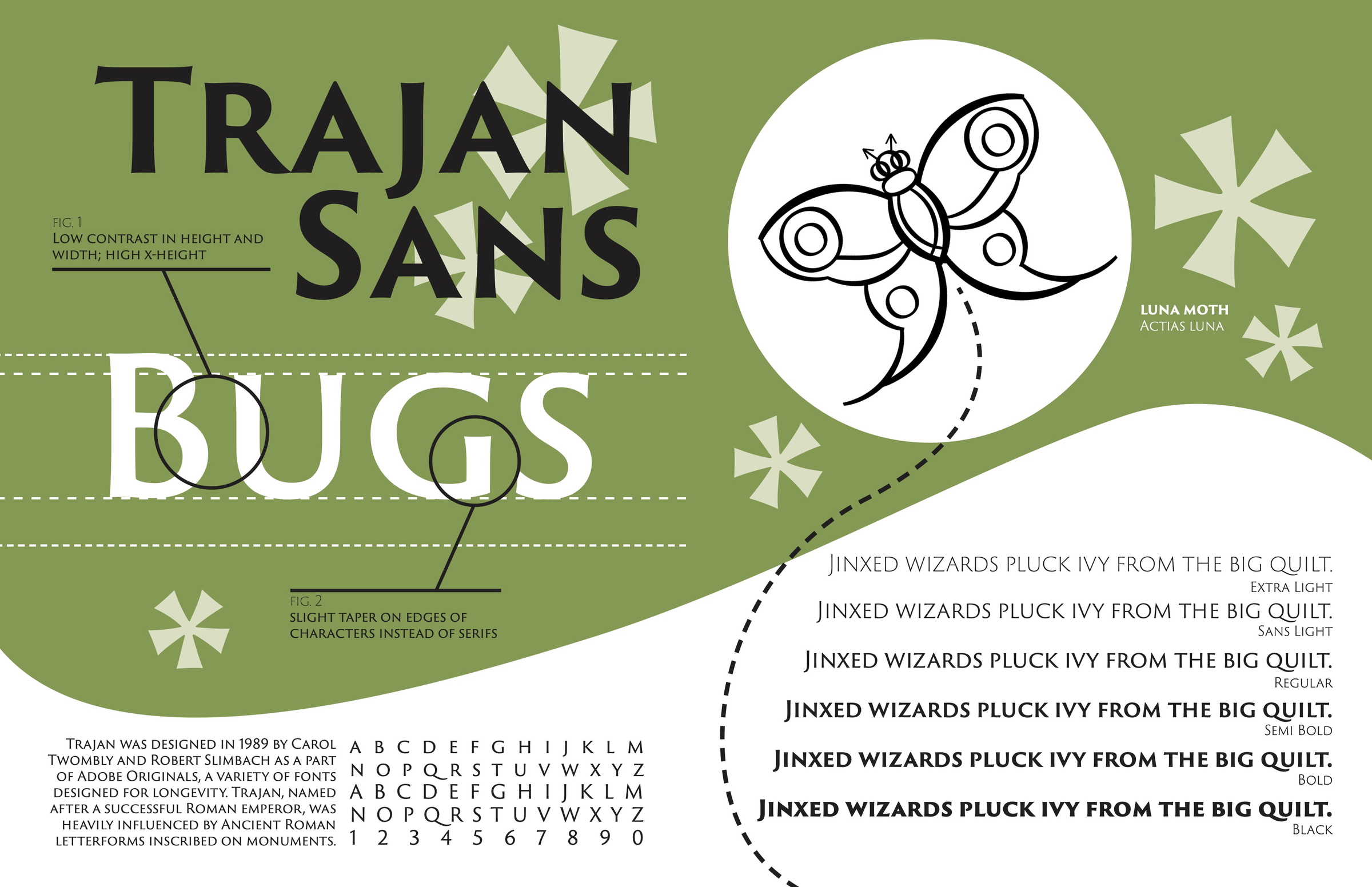 specimens of type spread #5