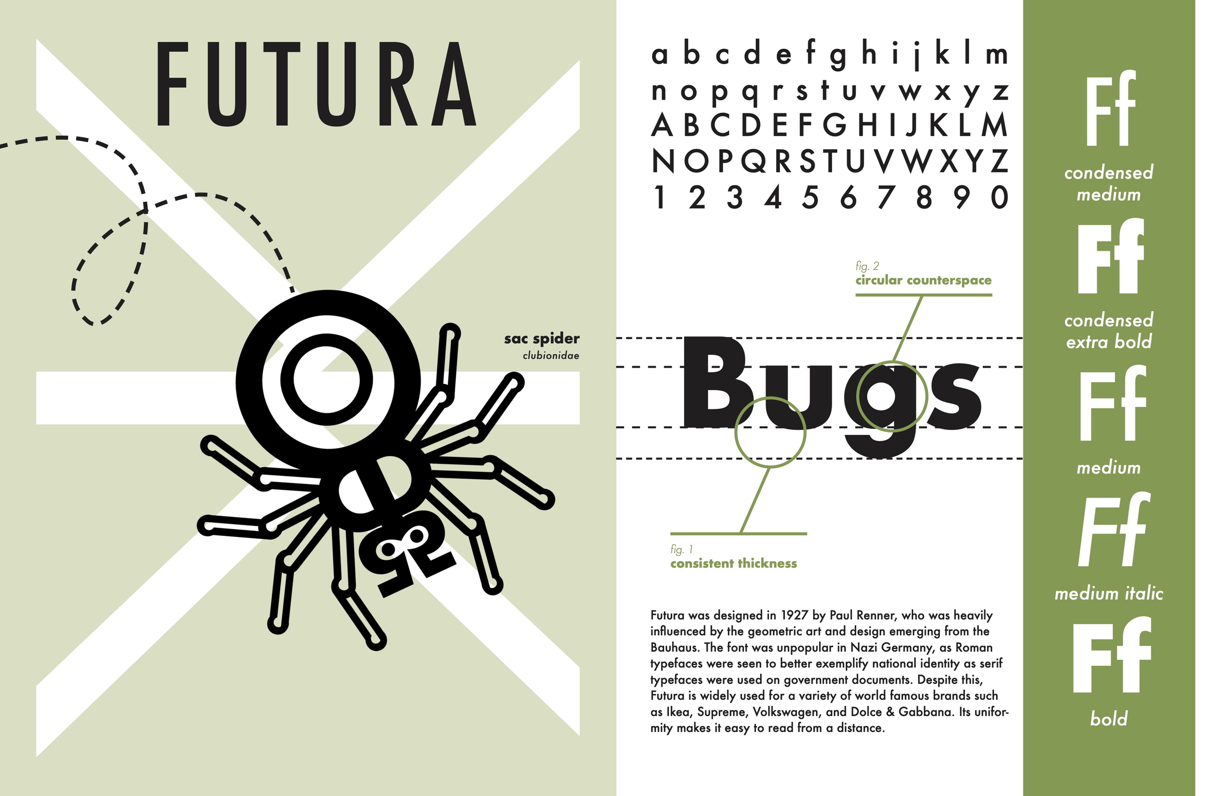 specimens of type spread #6