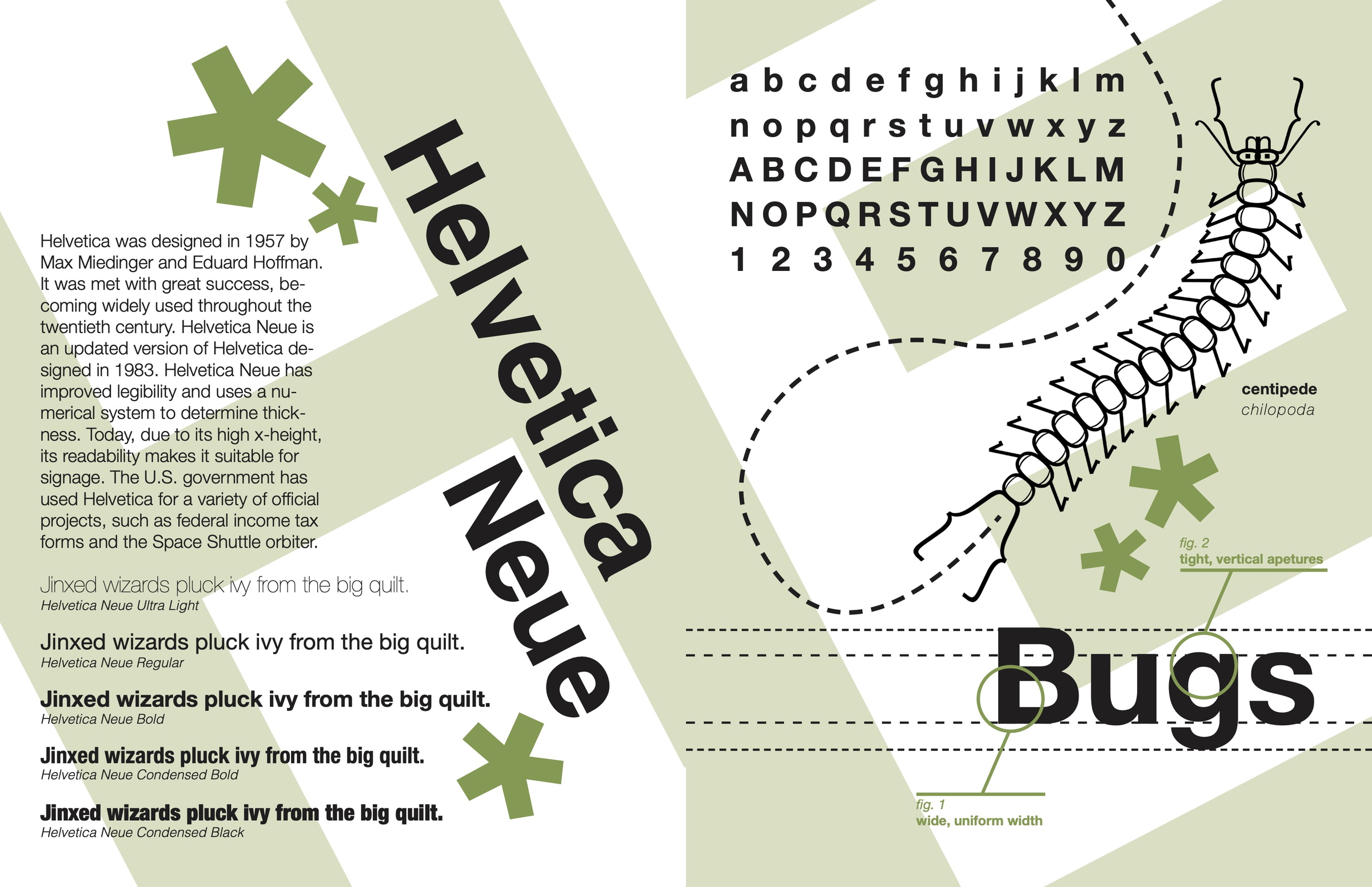 specimens of type spread #7