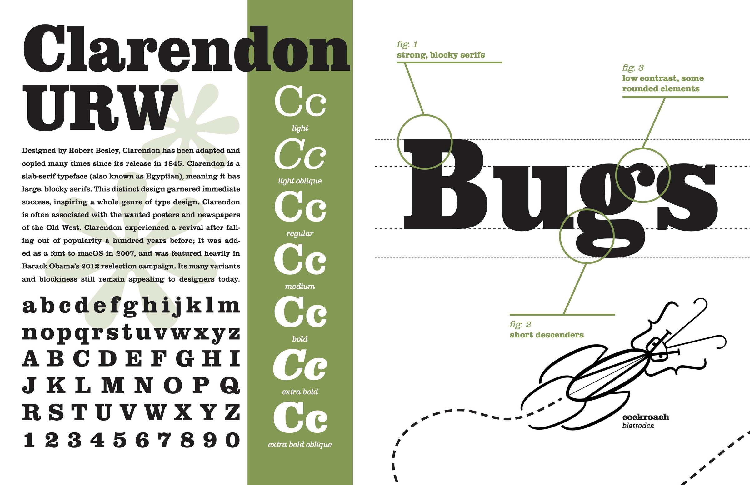 specimens of type spread #1