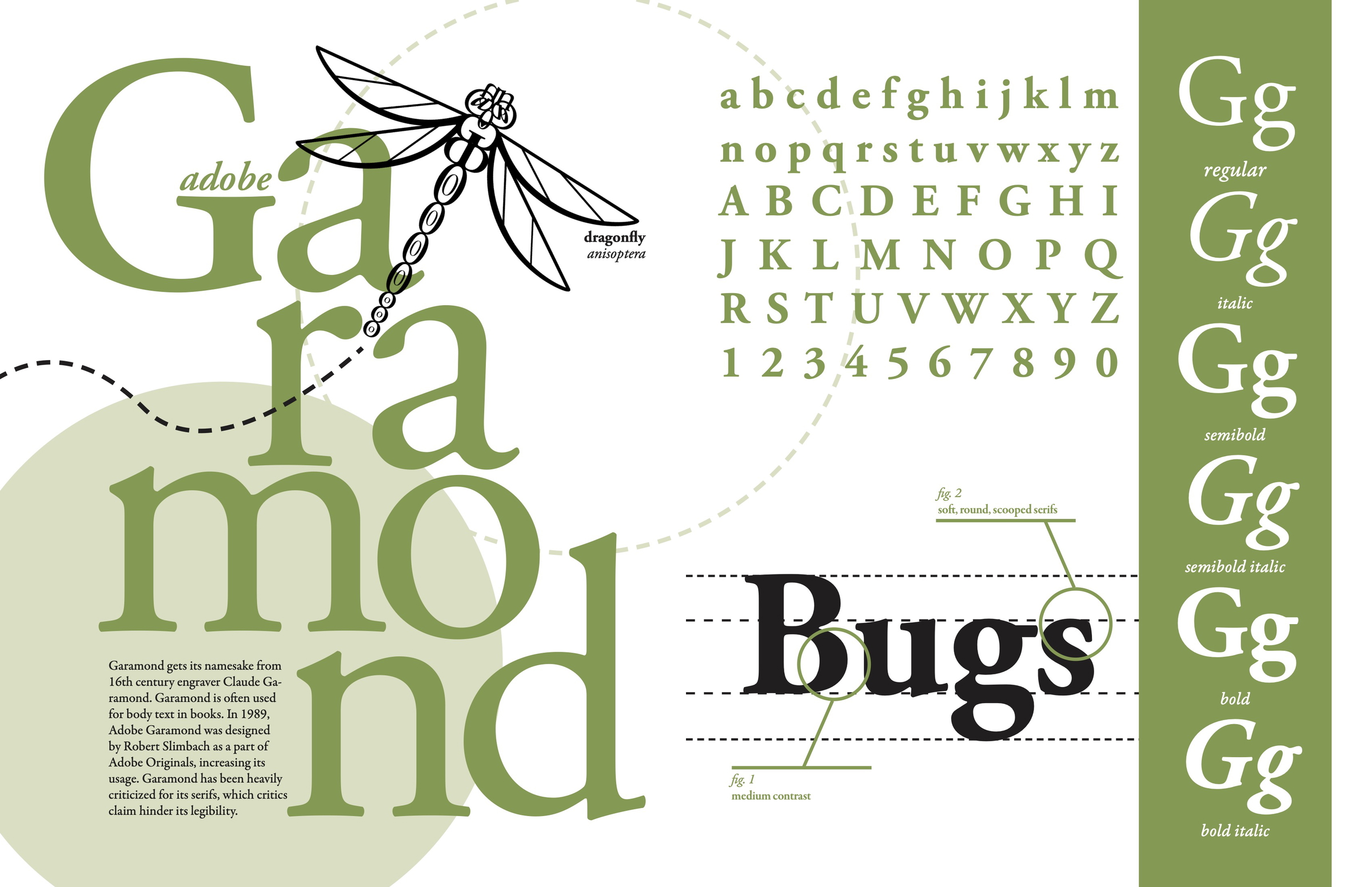 specimens of type spread #3