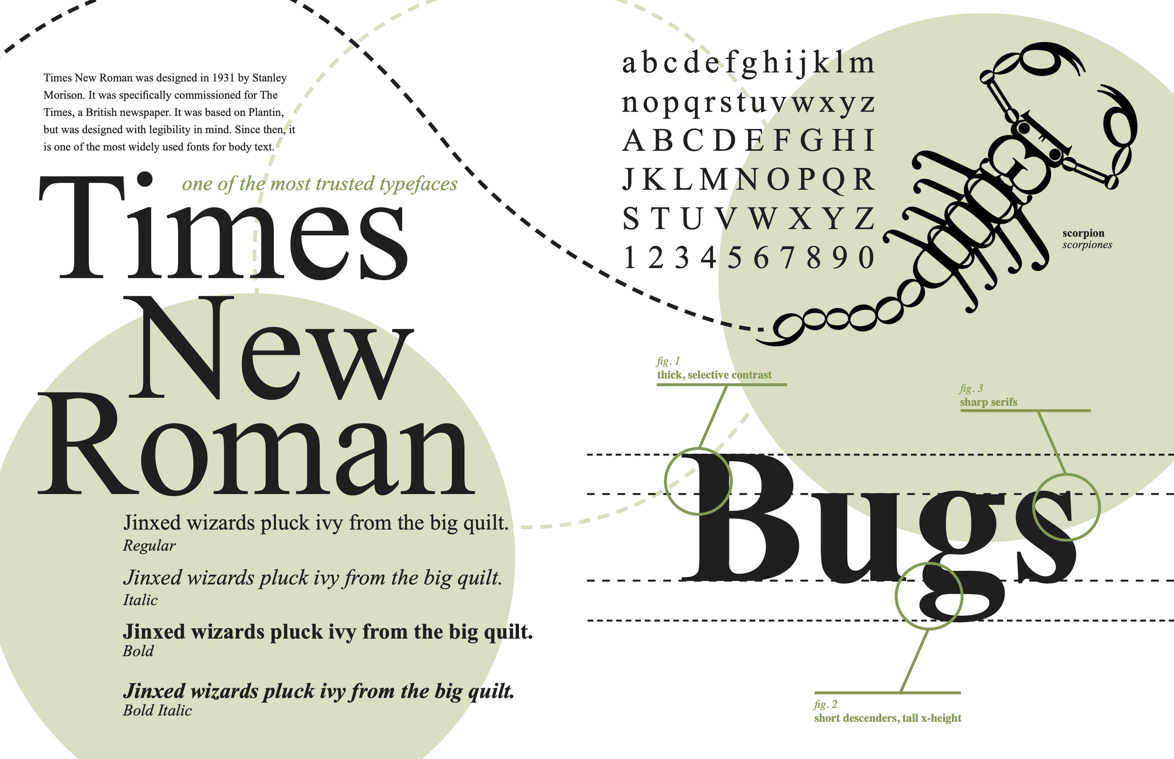 specimens of type spread #4