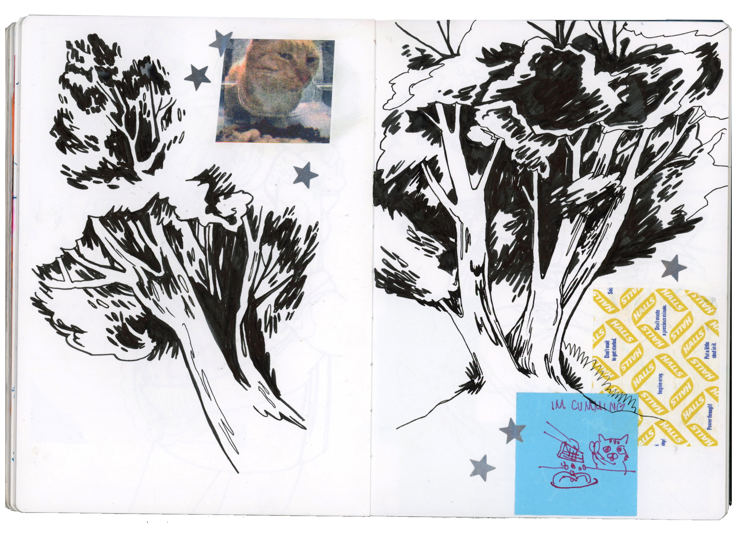 spring - summer 2024 spread #8